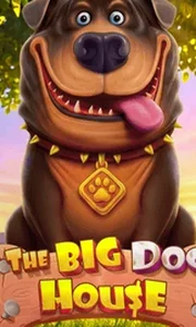 The Big Dog House